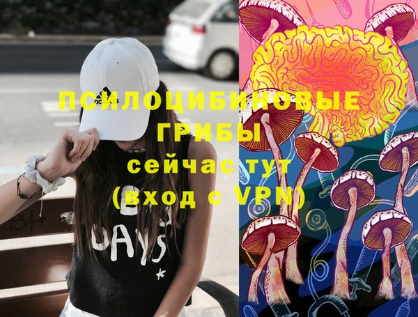 mix Алексеевка