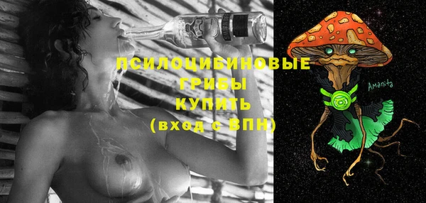 mix Алексеевка