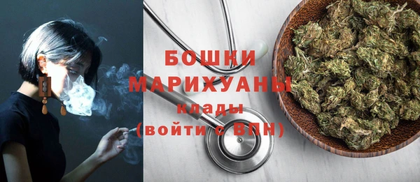 индика Арсеньев