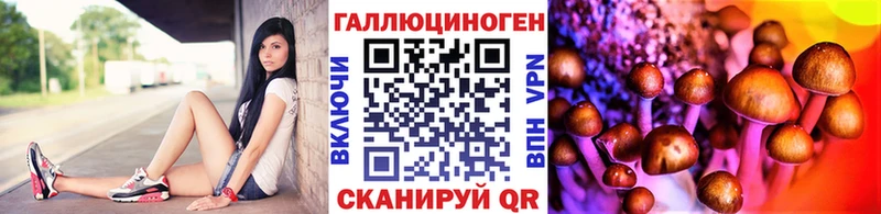 Псилоцибиновые грибы мицелий  продажа наркотиков  Бабаево 